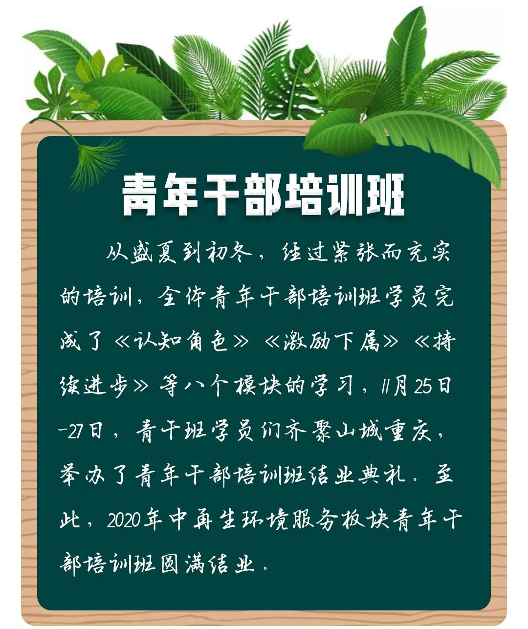 1629255908155268.jpg 1.jpg